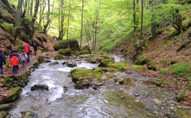 Eco Trail "Under the Waterfall Spray"